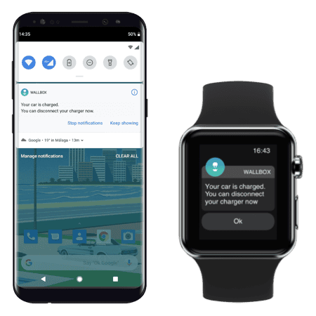 notifications notifications